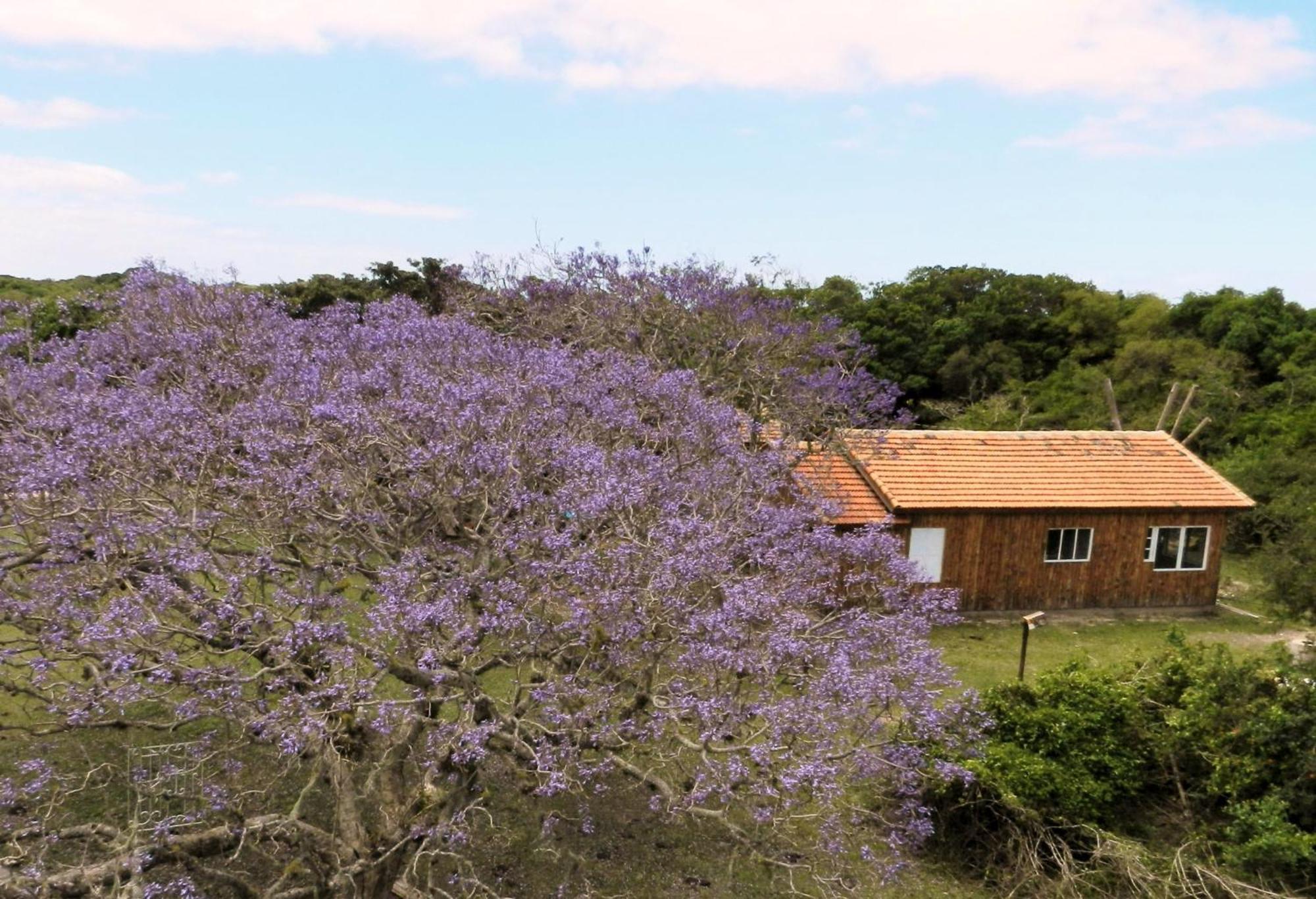Aldeia Santuario Das Aves Tavares Camera foto