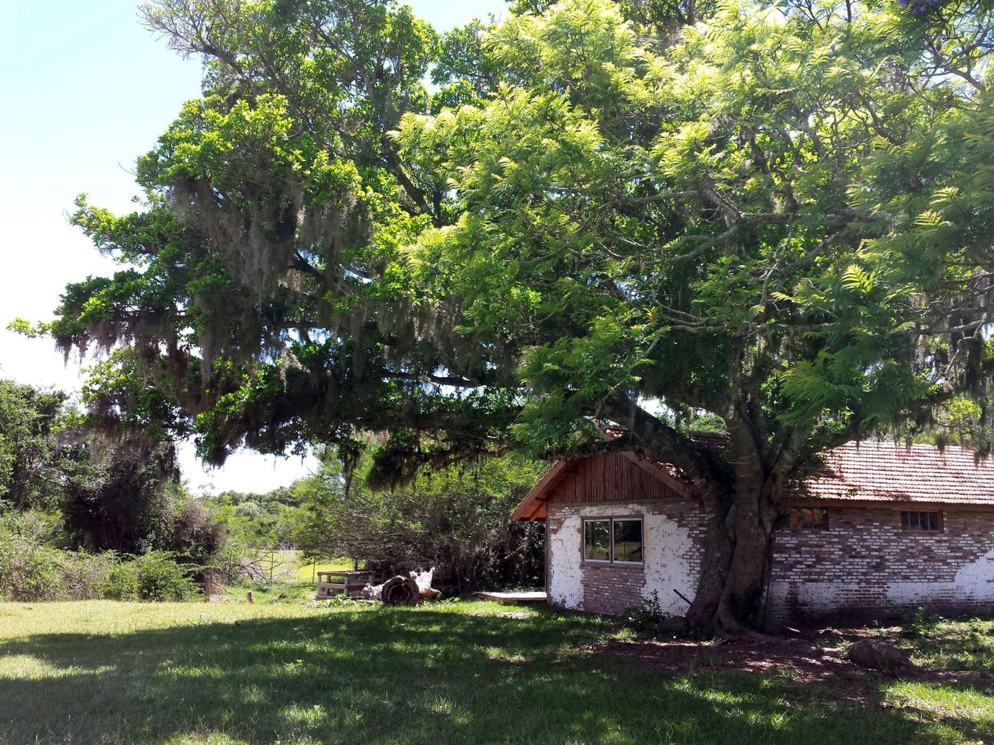 Aldeia Santuario Das Aves Tavares Camera foto
