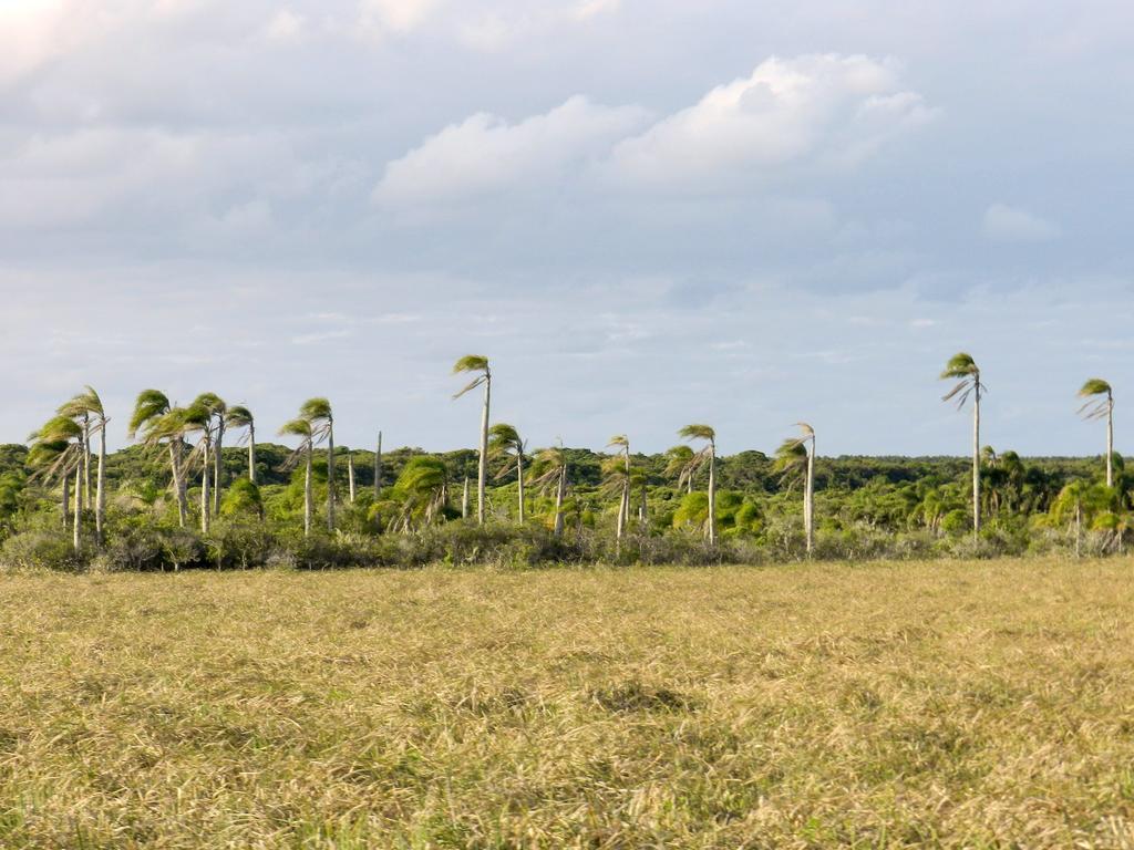 Aldeia Santuario Das Aves Tavares Esterno foto