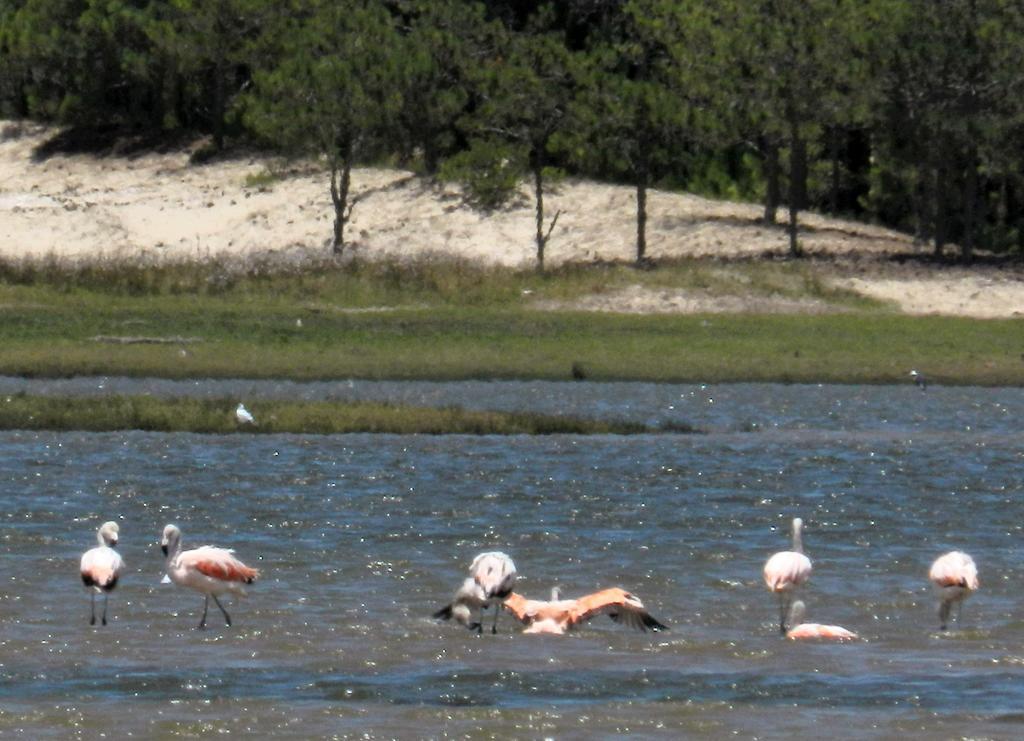 Aldeia Santuario Das Aves Tavares Esterno foto