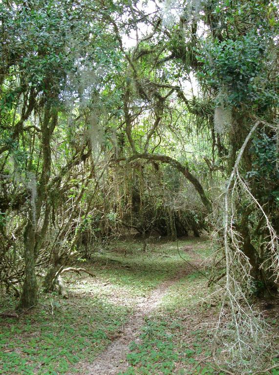 Aldeia Santuario Das Aves Tavares Esterno foto