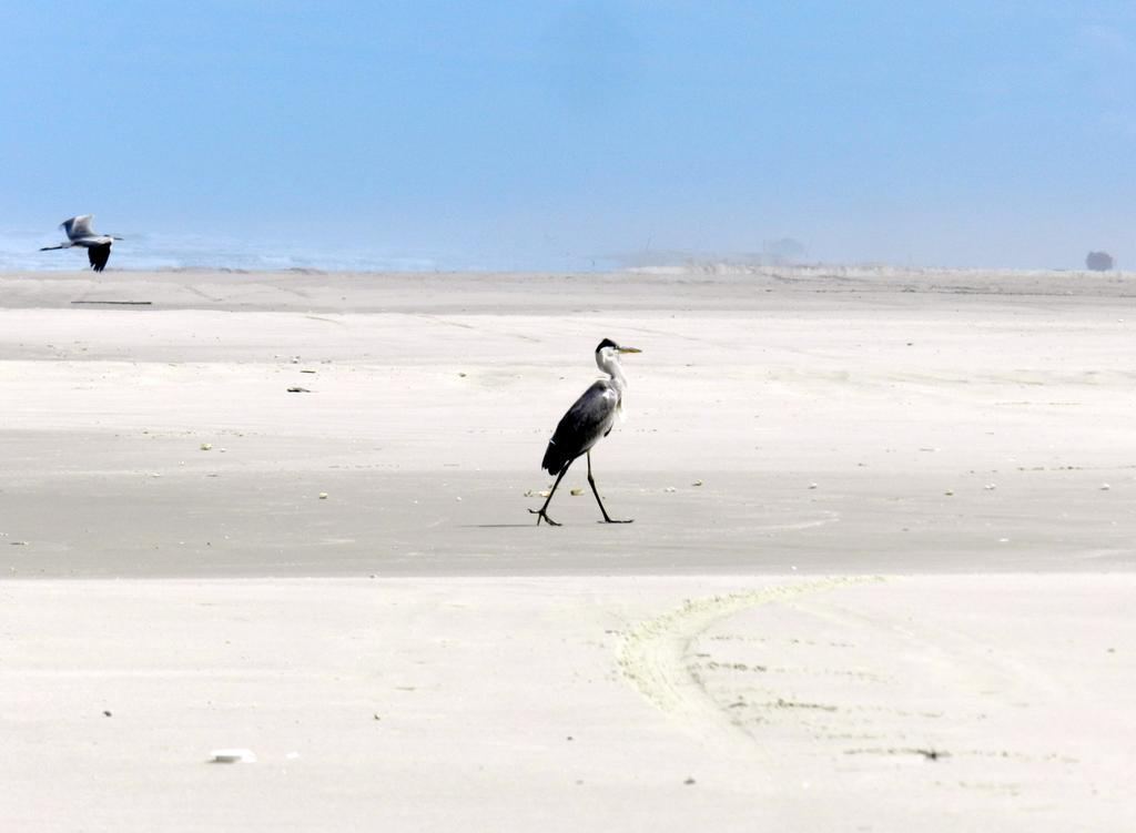 Aldeia Santuario Das Aves Tavares Esterno foto