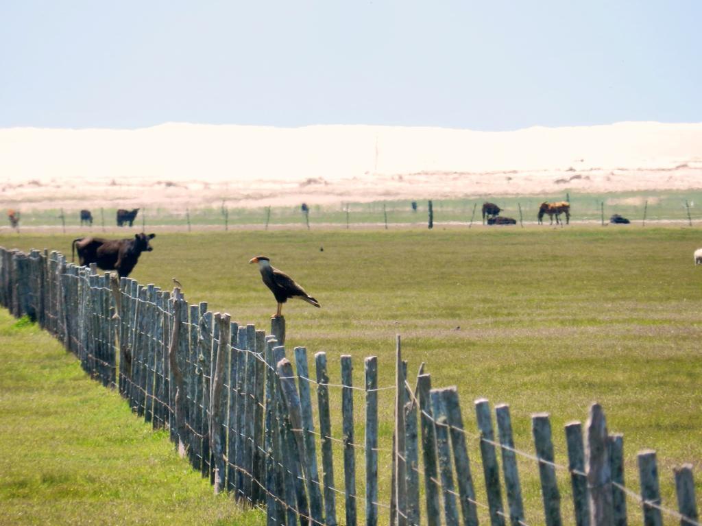 Aldeia Santuario Das Aves Tavares Esterno foto