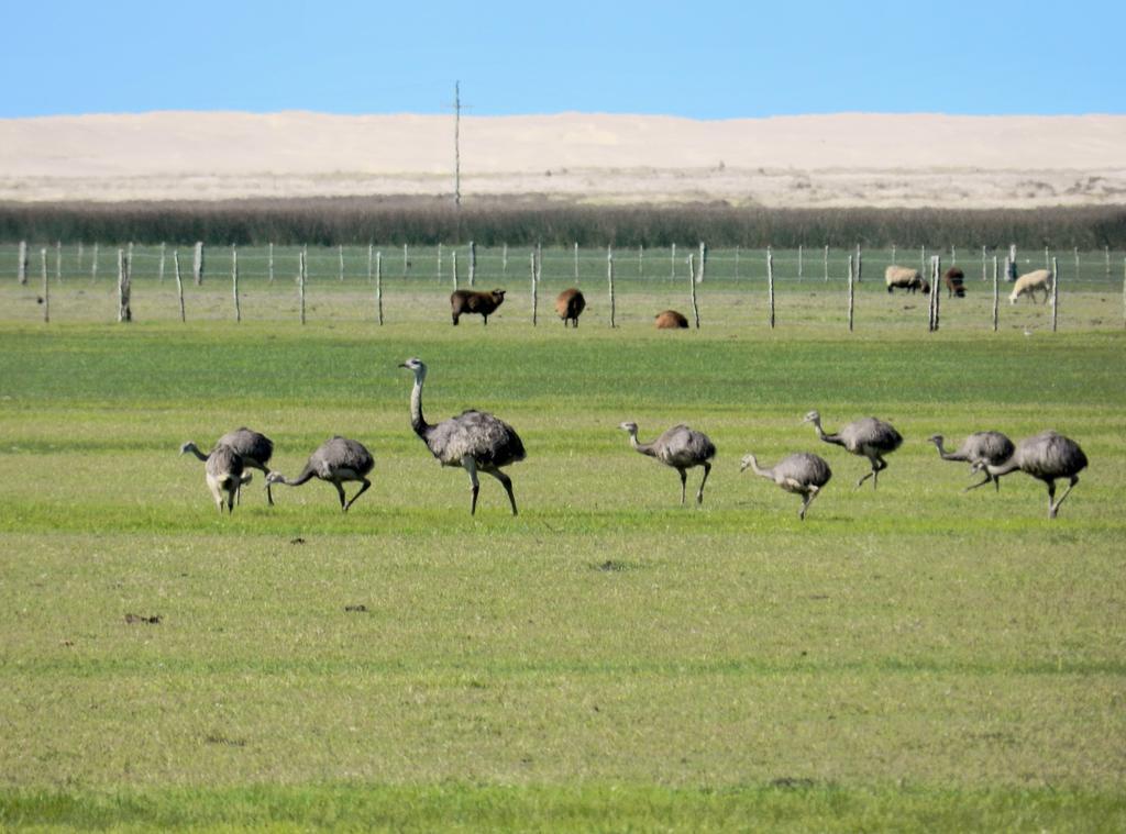 Aldeia Santuario Das Aves Tavares Esterno foto