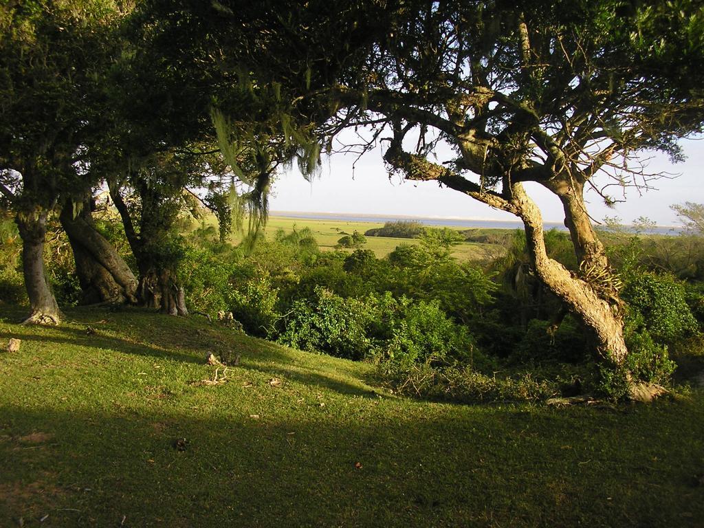Aldeia Santuario Das Aves Tavares Esterno foto